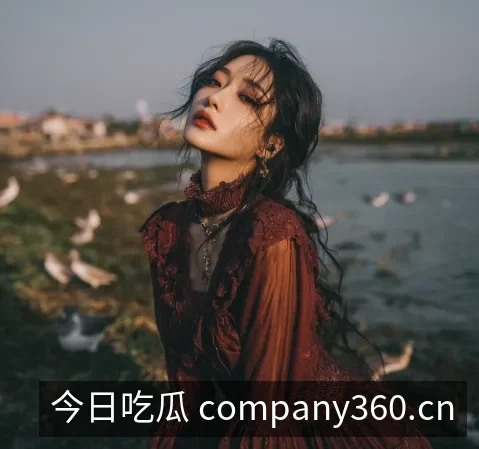 公司信息